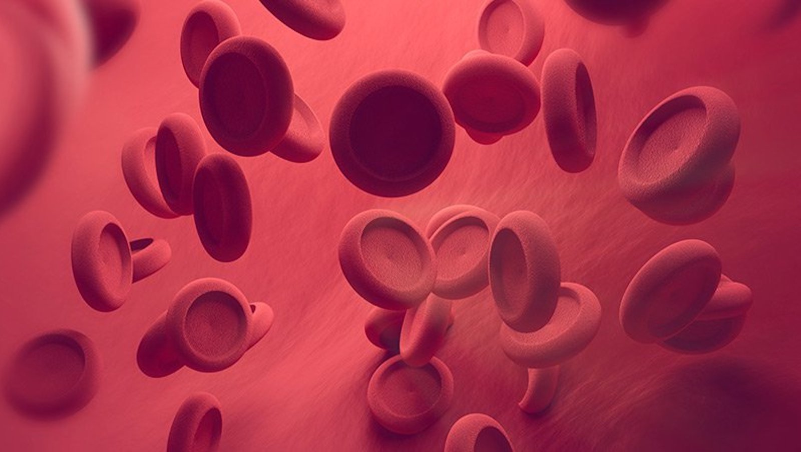 Abelacimab w profilaktyce żylnej choroby zakrzepowo-zatorowej