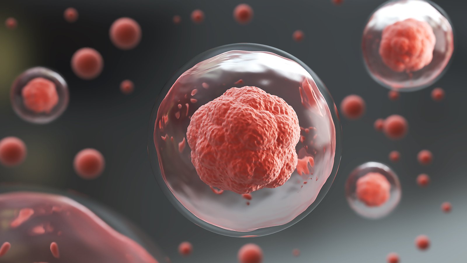 Skuteczność i bezpieczeństwo tafasitamabu (MOR208) w połączeniu z lenalidomidem u chorych z nawrotowym i opornym chłoniakiem rozlanym z dużych komórek B