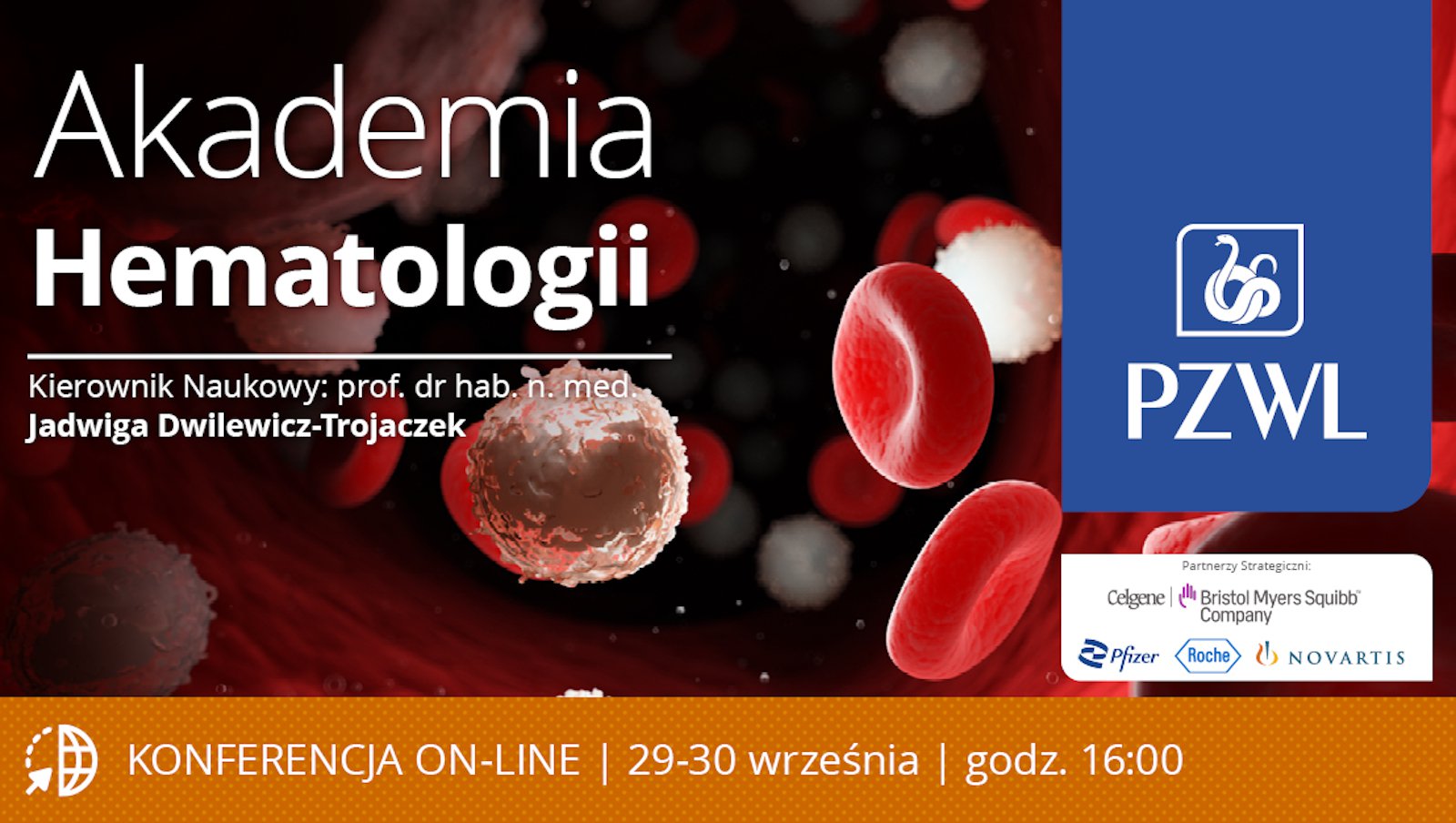 Niedługo konferencja online Akademia Hematologii 2021