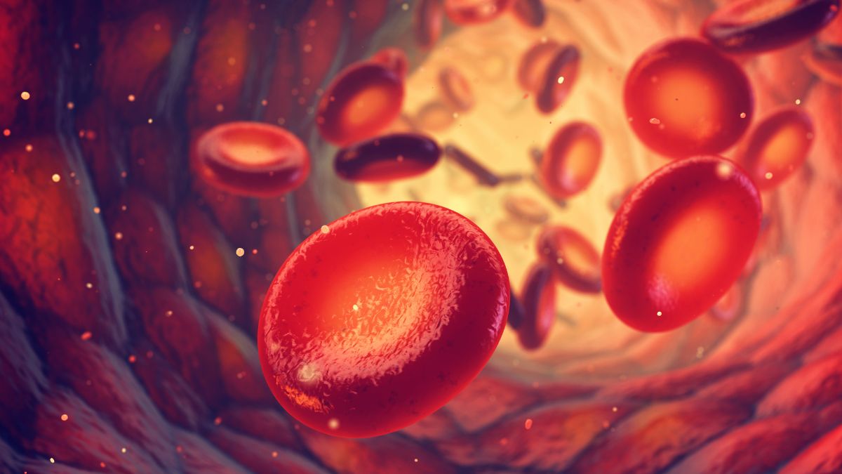 15. rocznica pierwszej transplantacji szpiku