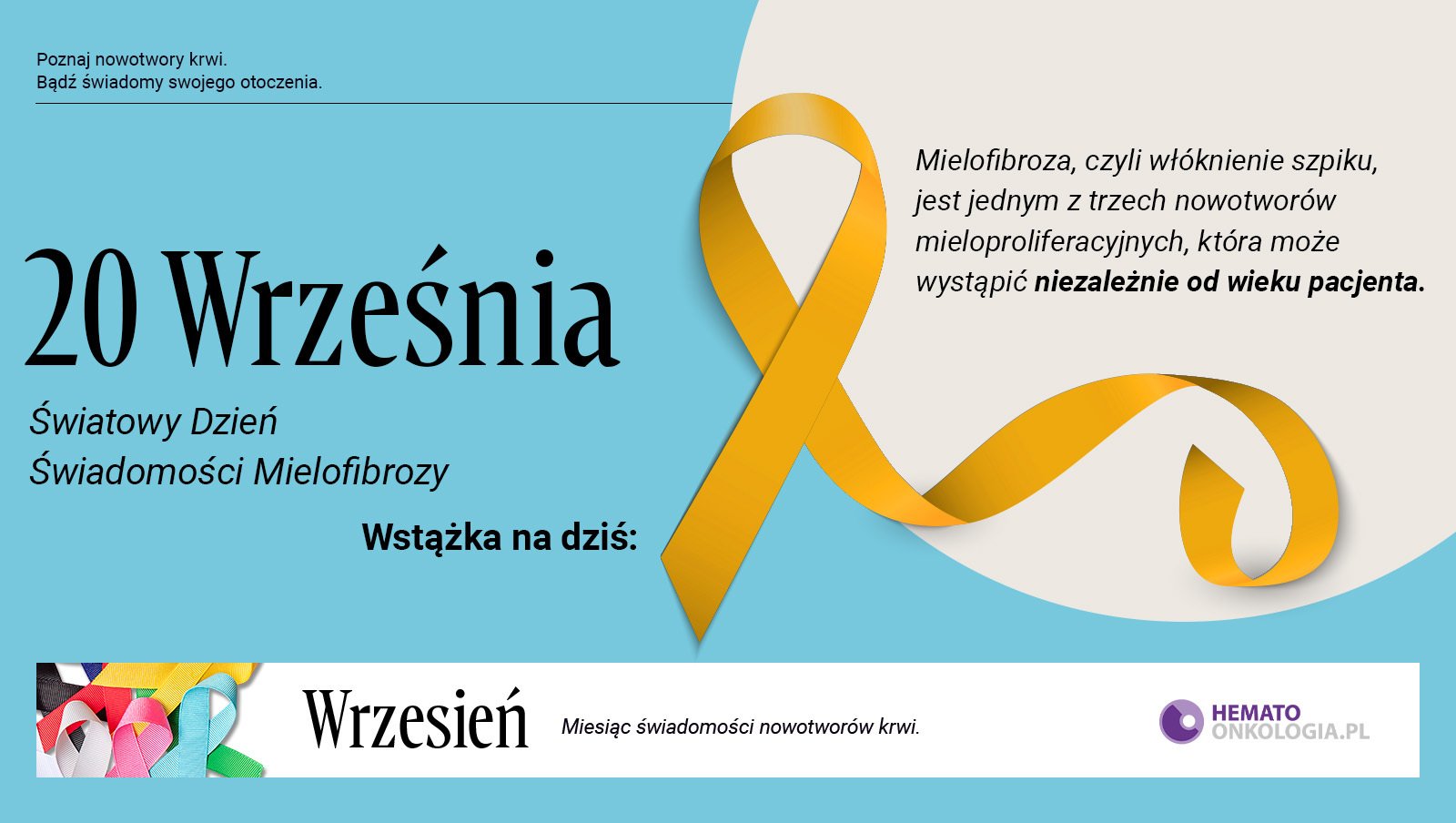 20 września – Światowy Dzień Świadomości Mielofibrozy