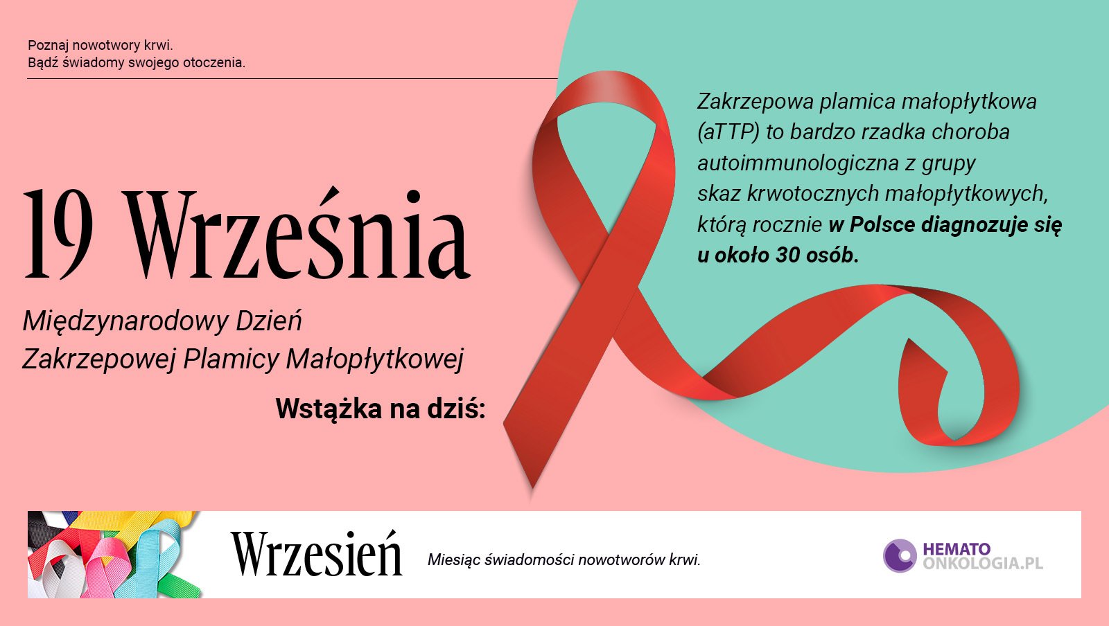 19 września – Międzynarodowy Dzień Zakrzepowej Plamicy Małopłytkowej