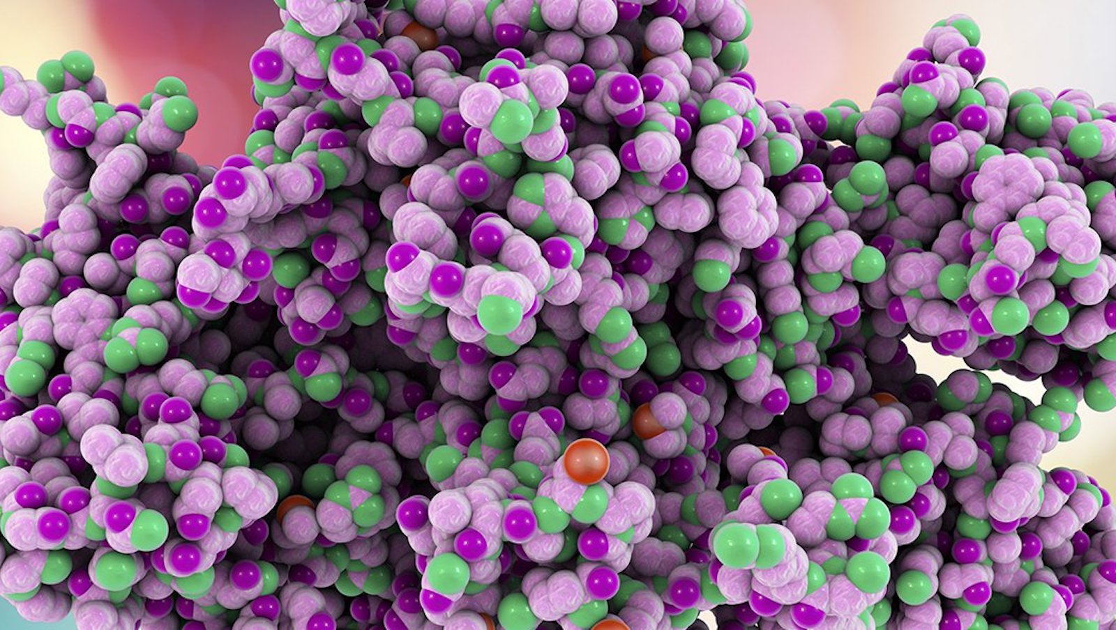 Typ 2N choroby von Willebranda – aktualizacja