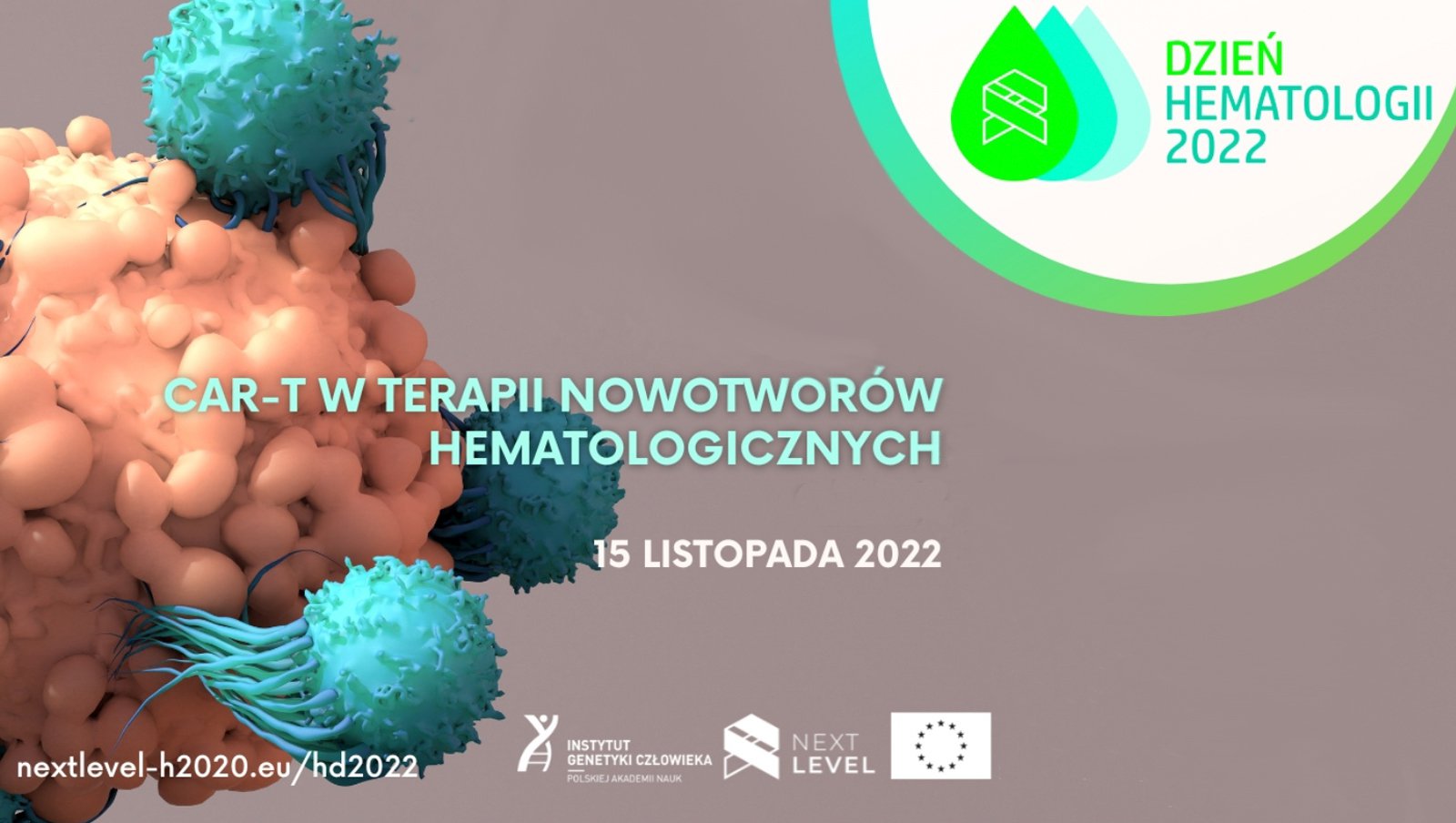 Dzień Hematologii 2022 - CAR-T w terapii nowotworów hematologicznych