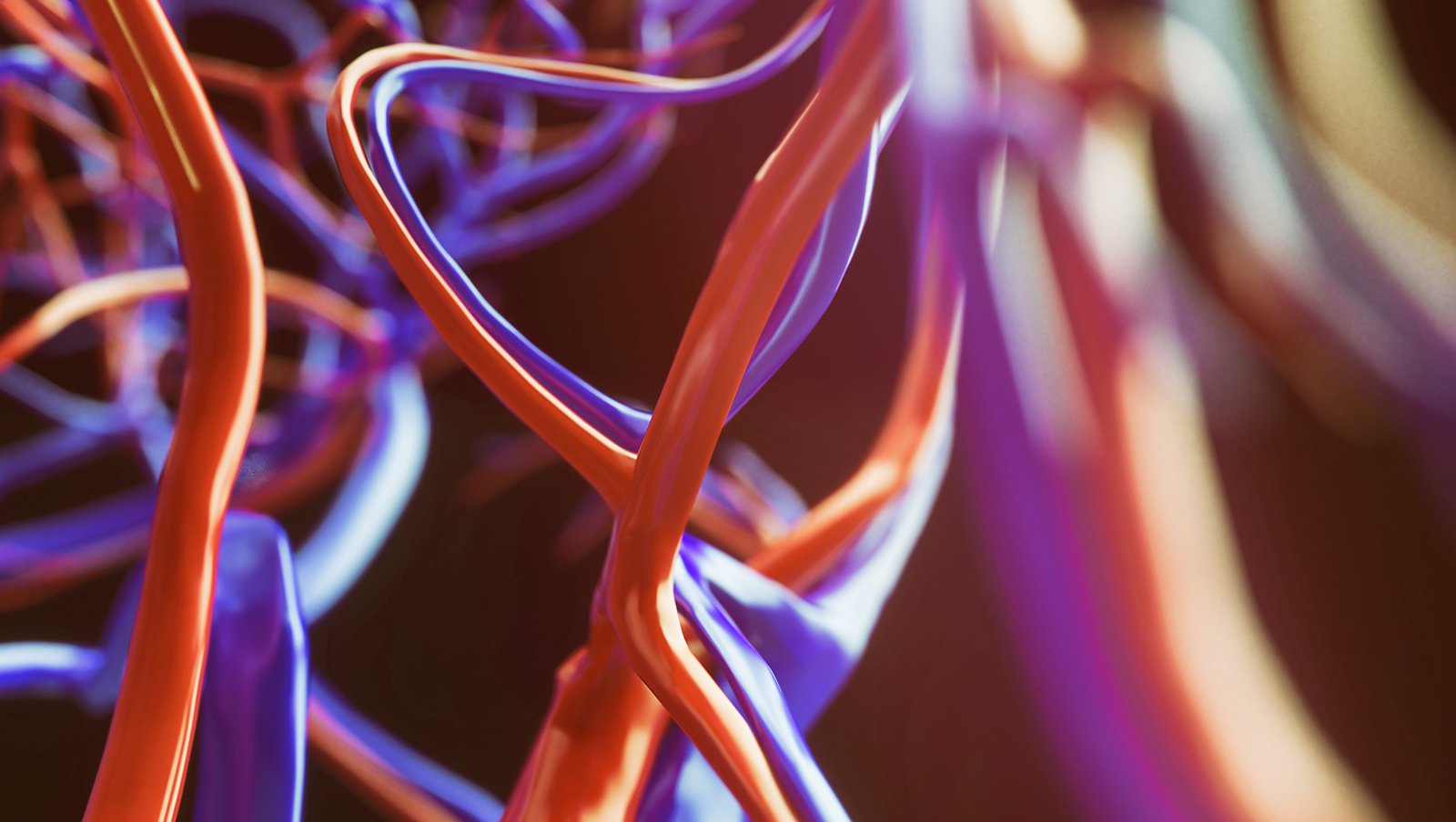 Żylna choroba zakrzepowo-zatorowa a przeżycie chorych na PBL