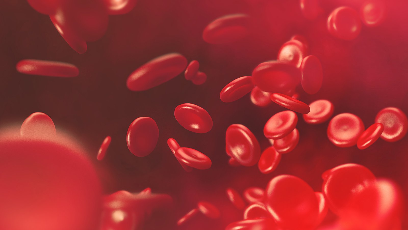 Prawdopodobna grzybica płuc w trakcie terapii inhibitorem kinazy tyrozynowej Brutona...