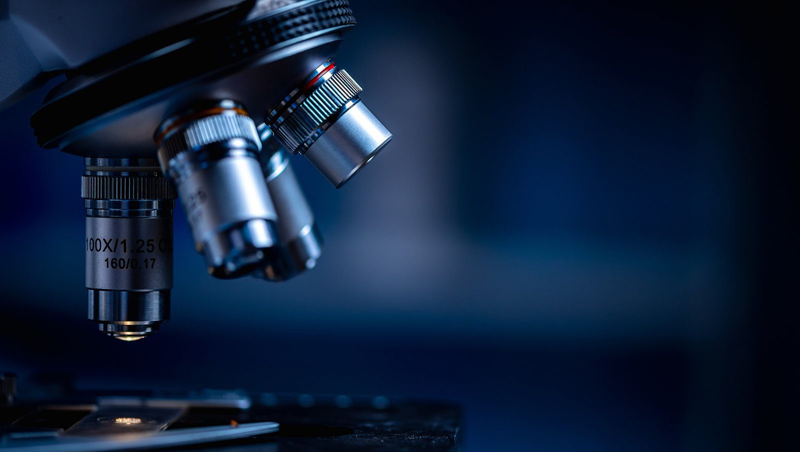 Skojarzone leczenie obinutuzumabem, ibrutynibem i wenetoklaksem u pacjentów z przewlekłą...