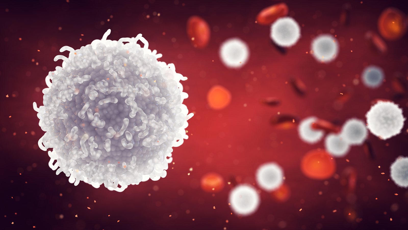 Porównanie schematów kondycjonowania mieloablacyjnego oraz kondycjonowania o zredukowanej...