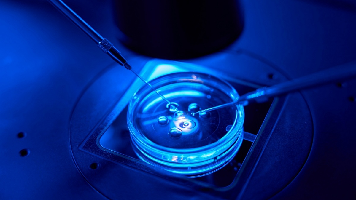 Program in vitro 2024–2028: zabezpieczenie płodności dla pacjentów onkologicznych