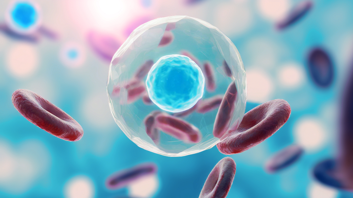 Po autoprzeszczepie komórek szpiku: Powrót do codzienności