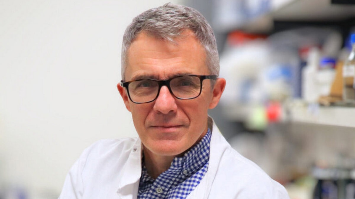 Prof. George Vassiliou laureatem EHA Research Excellence Award 2026. Od biologii...