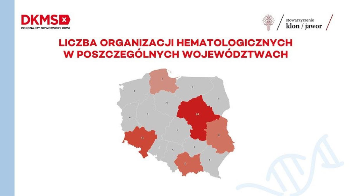 Organizacje działające na rzecz pacjentów hematologicznych: diagnoza, wyzwania,...