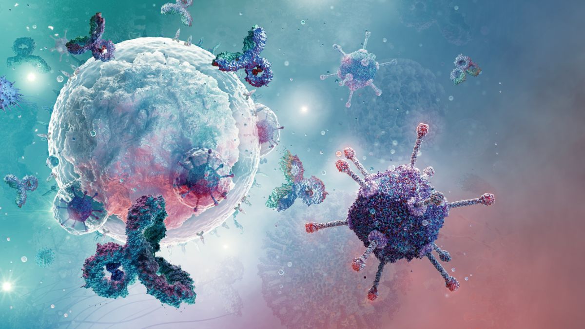 RSV u osób starszych