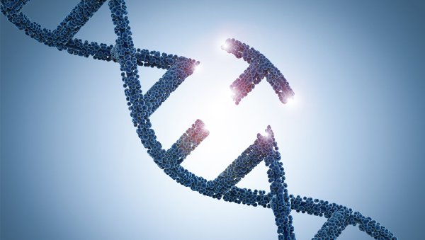 Aberracje genu TP53 w przewlekłej białaczce limfocytowej (PBL) - znaczenie oraz...