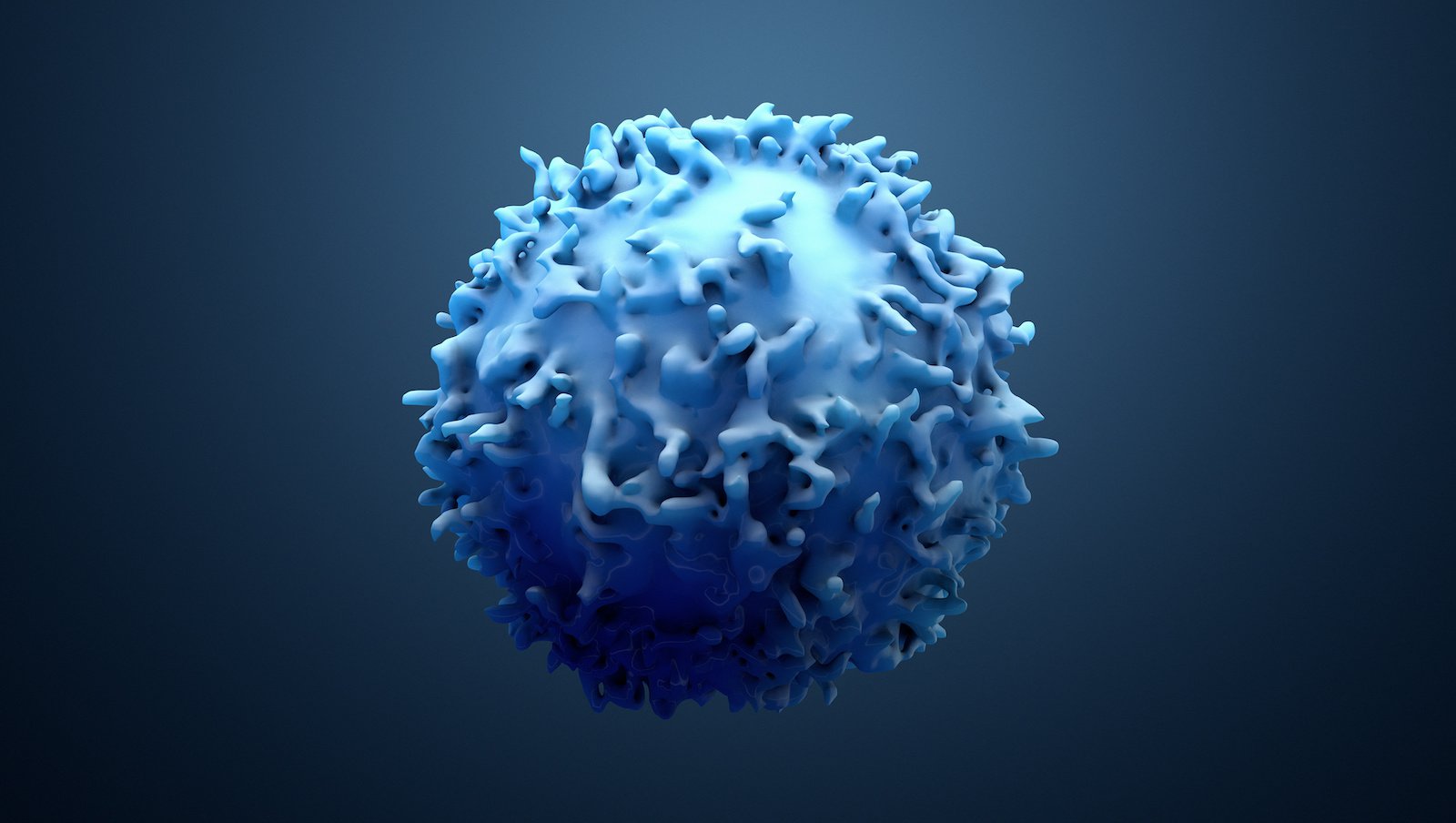 Limfocyty CAR z podwójnym ukierunkowaniem na CD19 i CD22 u dorosłych pacjentów z nawracającymi lub opornymi na leczenie nowotworami z komórek B: badanie I fazy