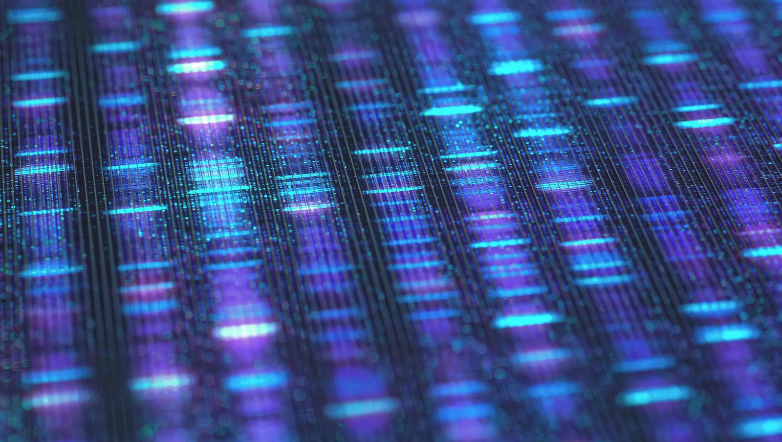 Wpływ prognostyczny miejsca insercji FLT3-ITD u pacjentów z ostrą białaczką szpikową