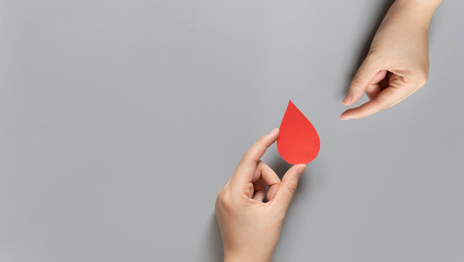 Transplantacja allogenicznych krwiotwórczych komórek macierzystych szpiku u chorych...