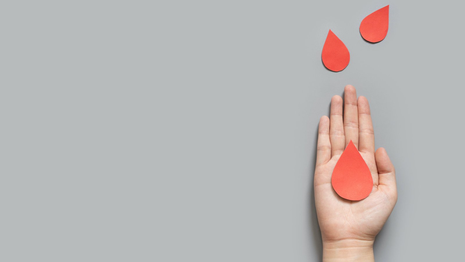 Leukostaza - stan nagły i pilna potrzeba w hematologii