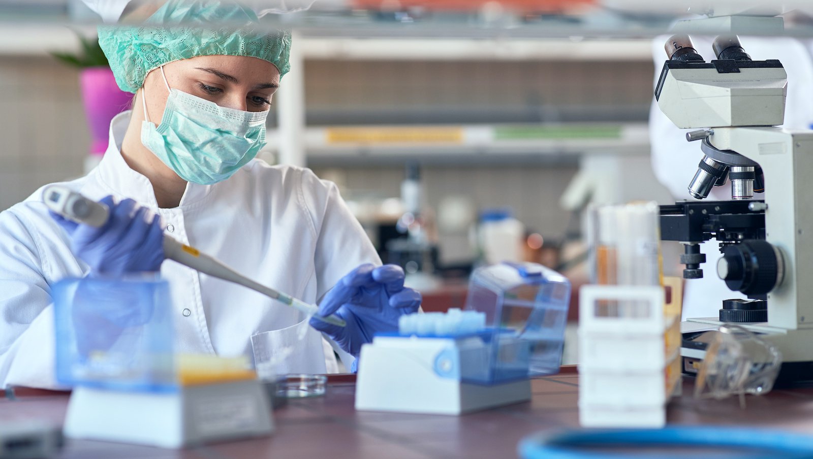Znaczenie kliniczne nowych podtypów ostrej białaczki limfoblastycznej w oparciu...