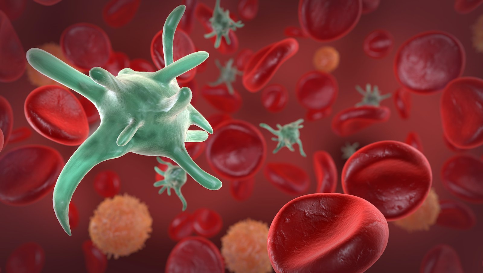 Płytek oblicze mniej znane