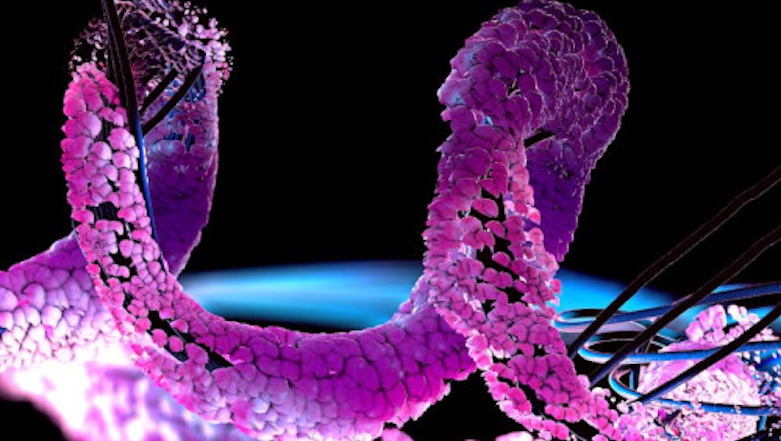 Stabilizacja łańcuchów lekkich – nowe podejście w walce z amyloidozą łańcuchów lekkich