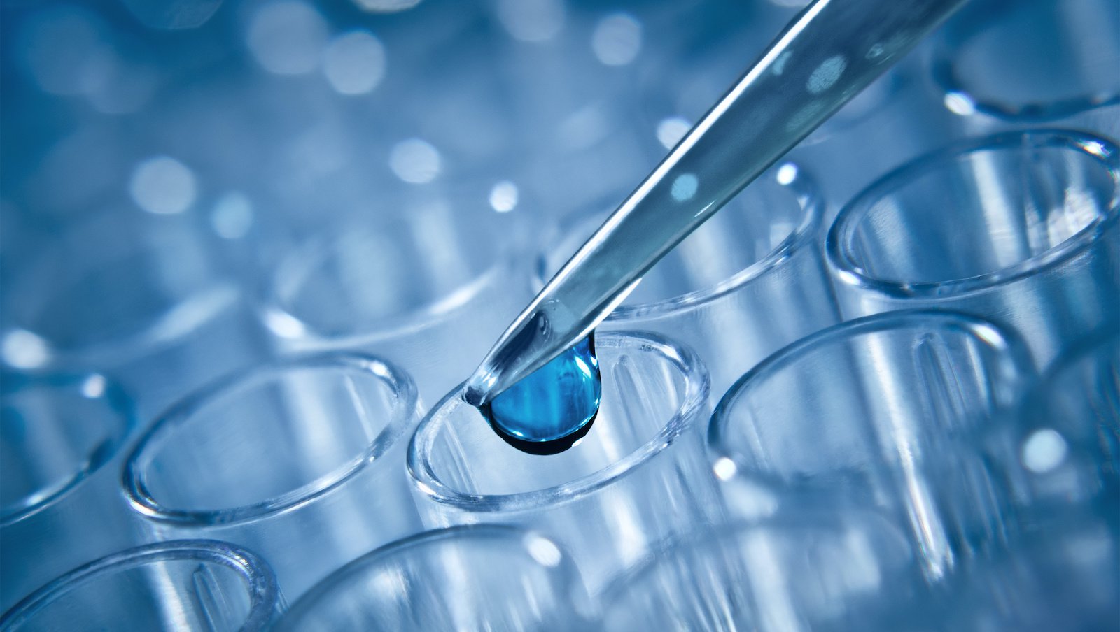 Wenetoklaks w skojarzeniu z azacytydyną lub decytabiną w transformacji blastycznej przewlekłych nowotworów mieloproliferacyjnych Ph ujemnych