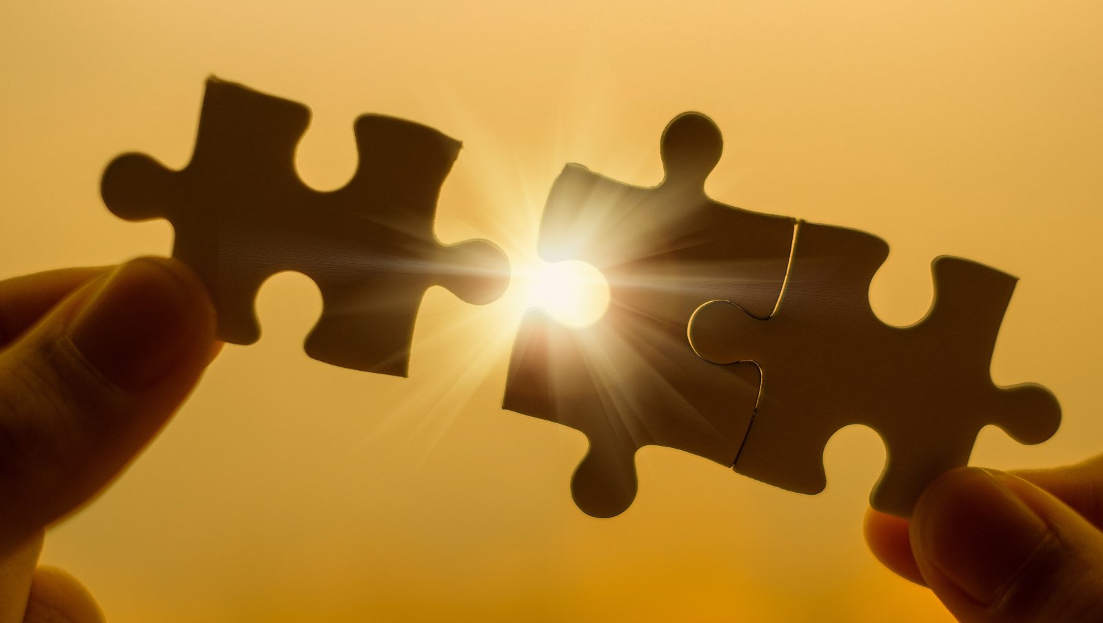 Algorytmy leczenia szpiczaka plazmocytowego