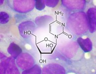 Azacytydyna i infuzje limfocytów dawcy w leczeniu nawrotu ostrej białaczki szpikowej i zespołów mielodysplastycznych po przeszczepieniu alogenicznych komórek macierzystych krwiotworzenia