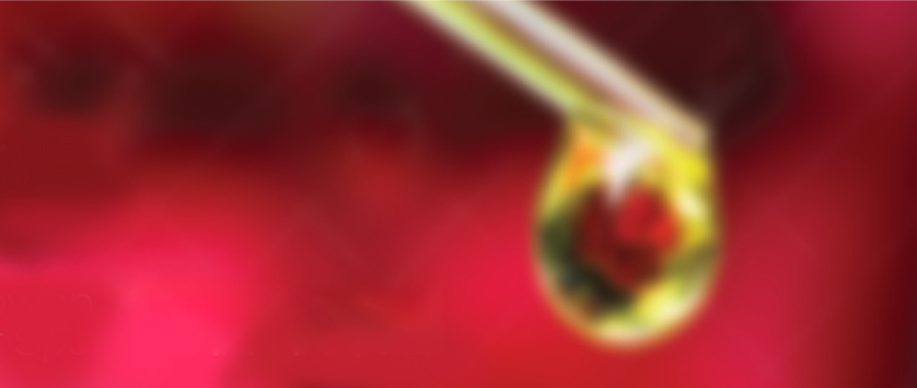 „Badania inicjowane przez badacza – Investigator Sponsored Trials (ISS)”, 15 listopada 2014, Warszawa