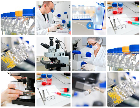 Bendamustyna + ofatumumab w PBL – wyniki badania klinicznego II fazy