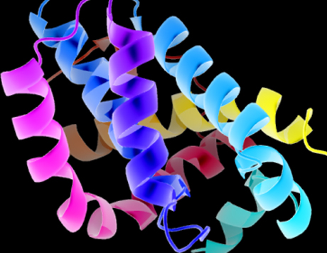 Wrodzone różnice aktywności BAK1 a predyspozycja do CLL