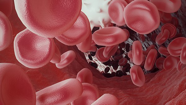 Blokada receptora zaprogramowanej śmierci a bezpieczeństwo procedury przeszczepienia allogenicznych komórek krwiotwórczych