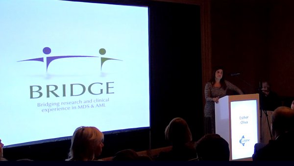 Spotkanie edukacyjne Bridge Meeting  - relacje cyfrowe dostępne