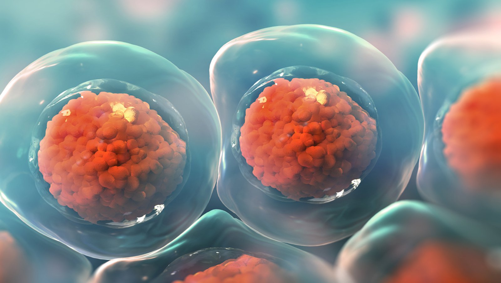 Nowe metody diagnostyczne w ocenie dyskrazji komórek plazmatycznych - spektrometria...