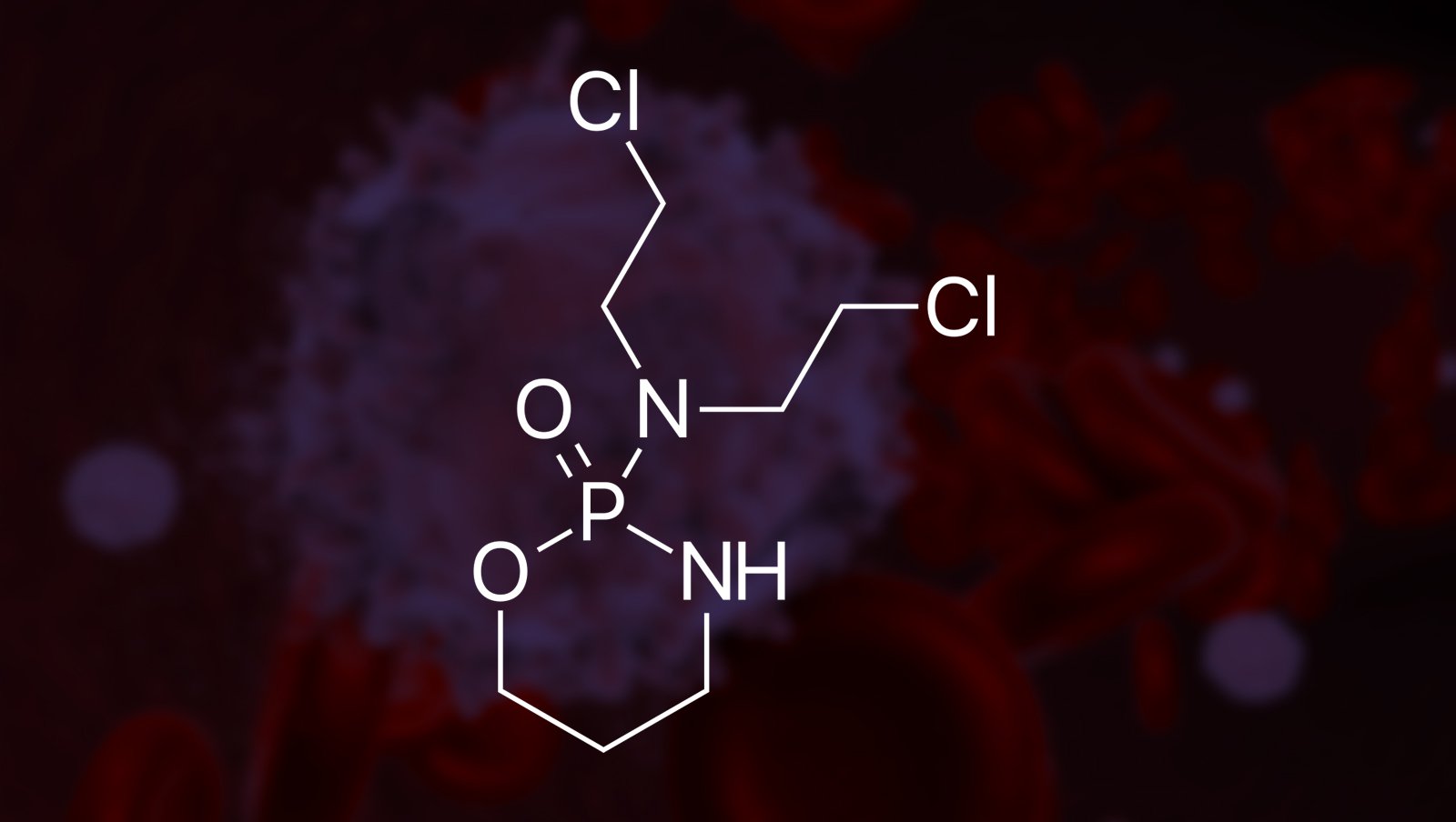 Transplantacja haploidentyczna i immunosupresja oparta na cyklofosfamidzie równie skuteczne jak przeszczepienie od dawcy zgodnego w DLBCL