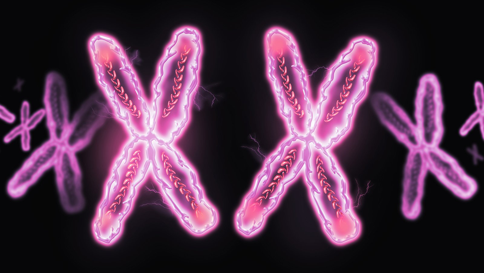 Wykrycie mutacji (zaburzeń) cytogenetycznych w komórce szpiczaka tworzy szansę na lepsze leczenie