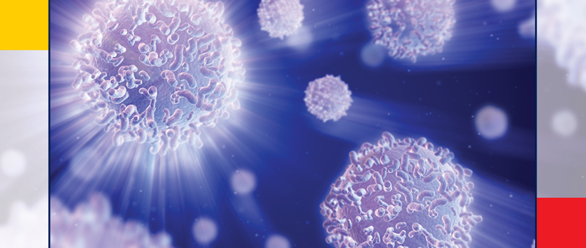 III Zjazd Polskiego Towarzystwa Cytometrii, 17-19 września 2014 r, Kazimierz Dolny