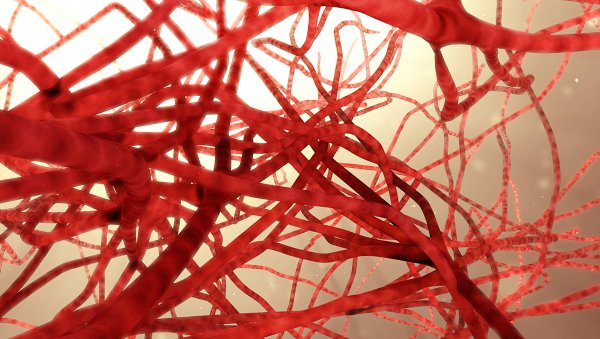 Częstość występowania powikłań krwotocznych i zakrzepowych w momencie diagnozy Ph ujemnych MPN - metaanaliza i przegląd systematyczny