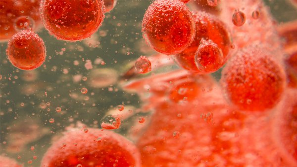 Desmopresyna u pacjentów z umiarkowaną hemofilią A: leczenie warte rozważenia