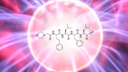 Dodanie karfilzomibu do lenalidomidu i deksametazonu zwiększa odsetki odpowiedzi...
