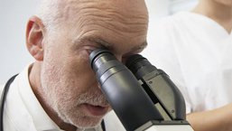 Doświadczenia włoskich klinicystów z romidepsyną w TCL