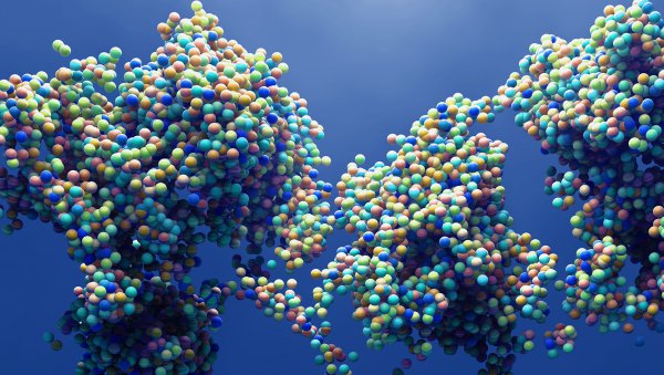 Doświadczenia francuskich lekarzy z zastępczą terapią immunoglobulinami we wtórnych niedoborach odporności związanych z nowotworami hematologicznymi