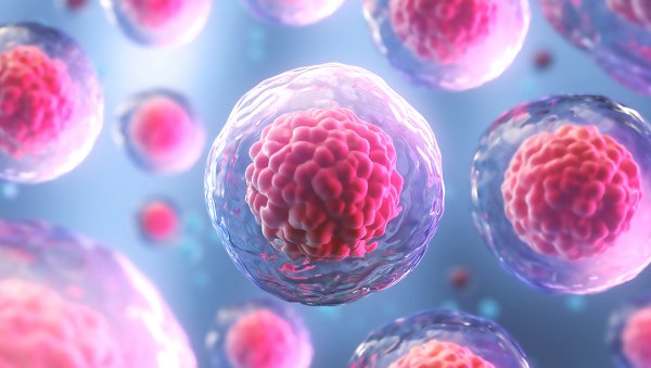 Dylemat dotyczący intensywności kondycjonowania: kiedy kondycjonowanie mieloablacyjne poprawia wyniki transplantacji alogenicznych komórek krwiotwórczych