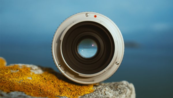 Prof. dr hab. Dominika Nowis: Dyscyplina, uważność, selektywność - pasja w służbie nauki cz.II