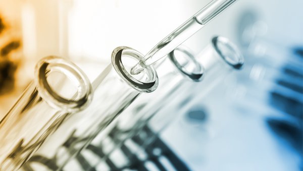 Filgrastym po przeszczepieniu allogenicznych krwiotwórczych komórek macierzystych