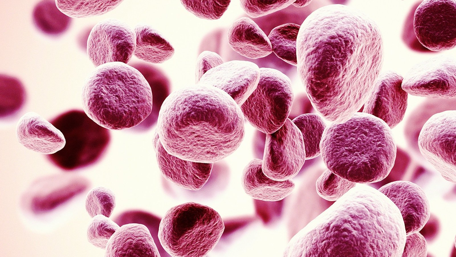 AML – nowe terapie i postaci leków | Prof. Sebastian Giebel