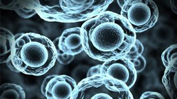 Fotorelacja z II Międzynarodowej Konferencji "Hematologia Kliniczna i Doświadczalna", Kazimierz Dolny