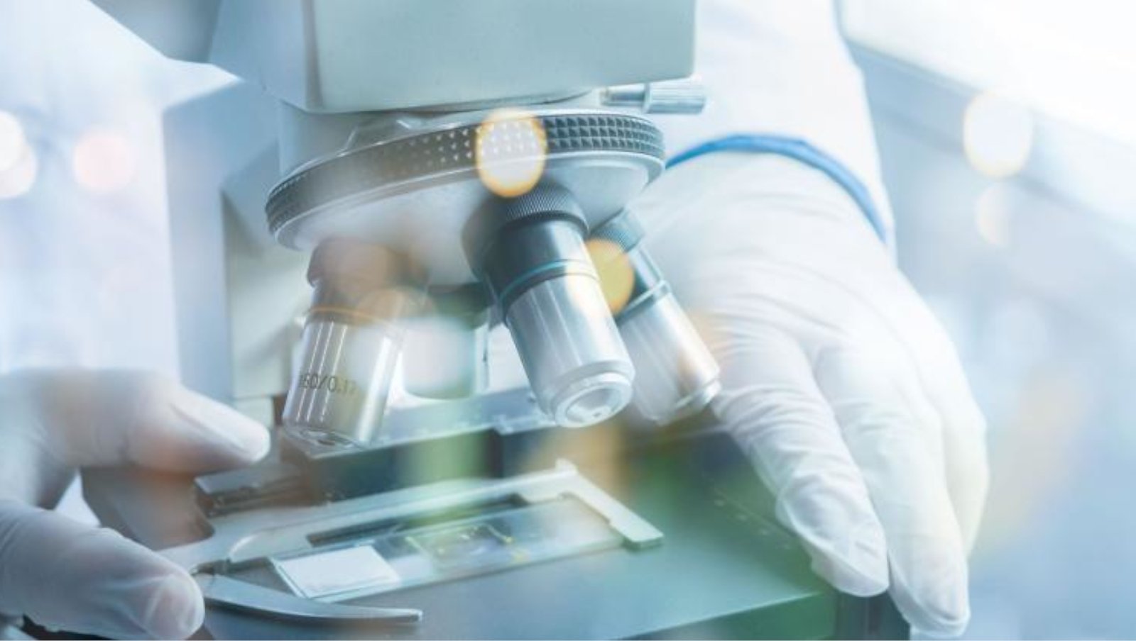 Fundacja na rzecz Nauki Polskiej ogłosiła nowe programy wsparcia dla naukowców