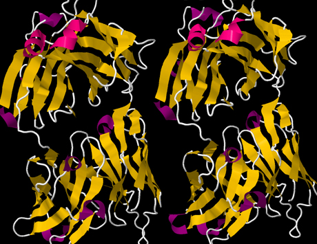 Obinutuzumab – następca rytuksymabu?