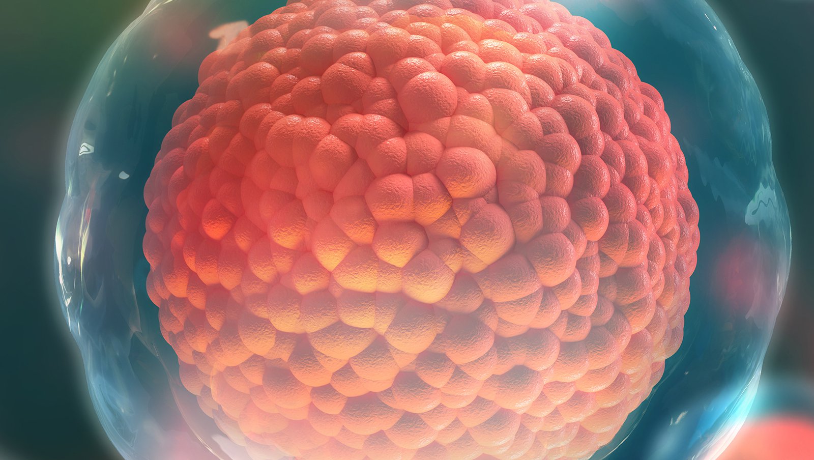 Choroba Gauchera i nowotwory hematologiczne - wspólne objawy